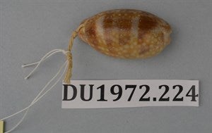 Image description is not available for DU1972.224